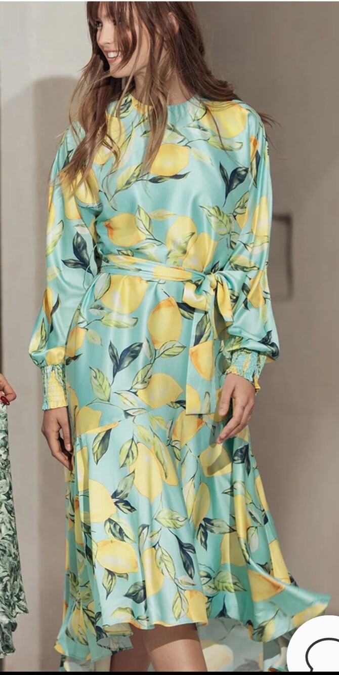 Aleeza Paris Onyx Printed Dress NWT Size XL